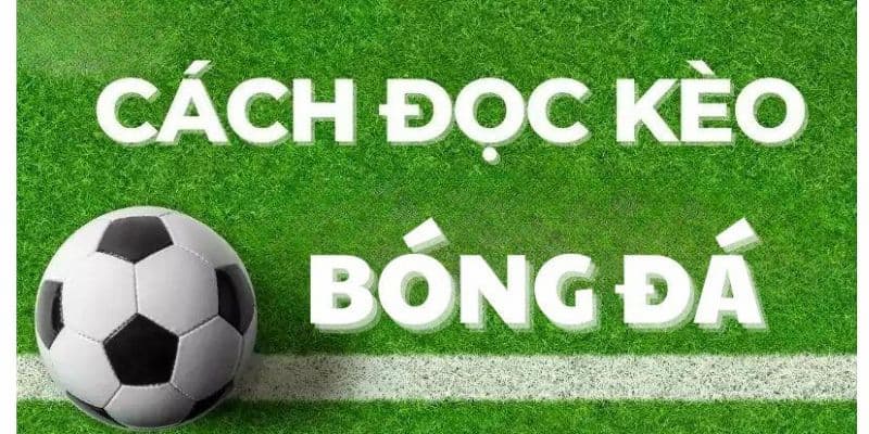 Kèo châu Âu - Hướng dẫn cách đọc kèo bóng đá 1x2