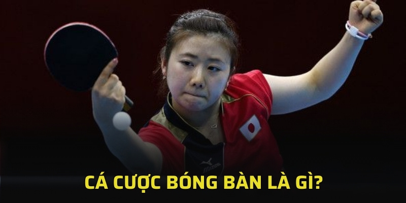 Cá cược bóng bàn là gì?