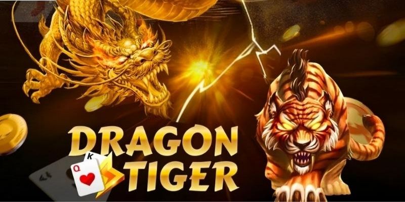 Kinh nghiệm chơi rồng hổ dễ thắng mà người chơi nên học hỏi